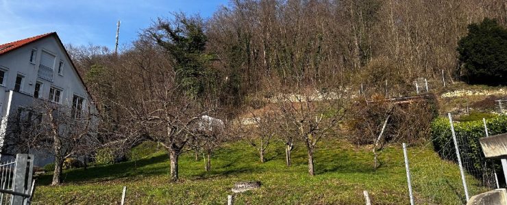 Träume sind dazu da, sie zu erfüllen! Wunderschönes Baugrundstück in Grenzach.