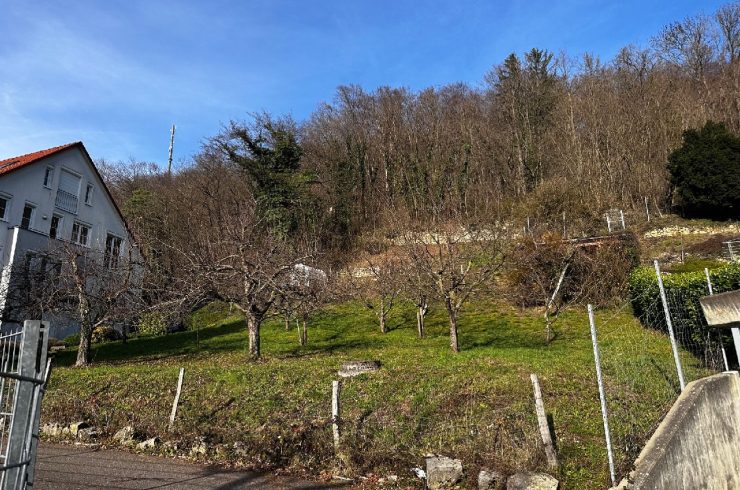 Träume sind dazu da, sie zu erfüllen! Wunderschönes Baugrundstück in Grenzach.