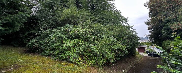Seltene Gelegenheit in Lörrach-Baugrundstück auf dem Hühnerberg