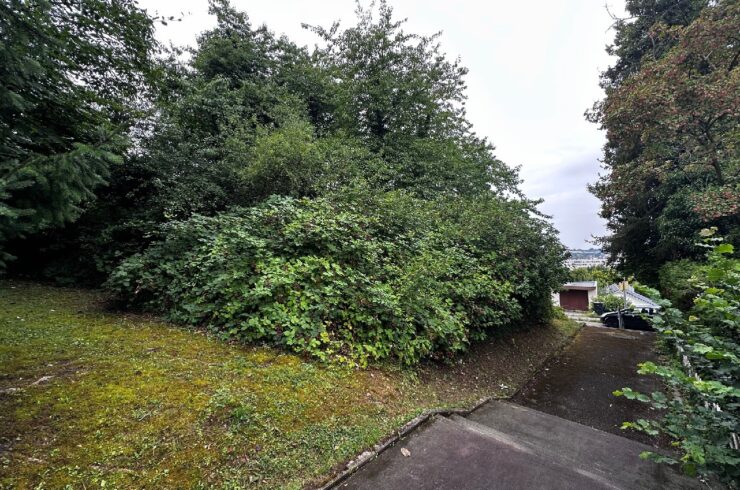 Seltene Gelegenheit in Lörrach-Baugrundstück auf dem Hühnerberg