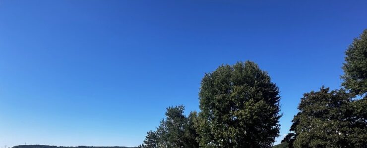 Seltene Gelegenheit in Lörrach-Baugrundstück auf dem Hühnerberg